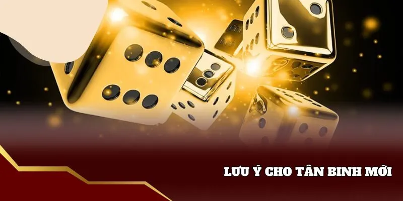 Lưu ý khi chơi tài xỉu v9win